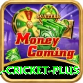all cricket - VIP Prime