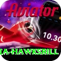 antigua hawksbill Plus v5.9.5