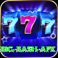 bbl big bash apk Apps (Tools & Injectors) Ultimate v3.7.9