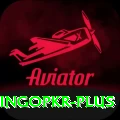 bingopkr Gold Edition v4.8.1