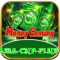 cricket asia cup Pakistan Deluxe v4.4.6