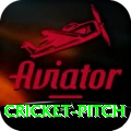 cricket pitch Apps (Tools & Injectors) Plus v1.8.7