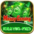 dravid - Gaming Champion