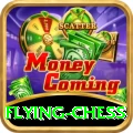 flying chess VIP Pro v3.2.3