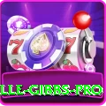 herschelle gibbs Slot Machine Max