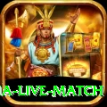 india australia live match Premium v1.3.2