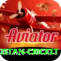 india pakistan cricket Master Pro v2.3.2