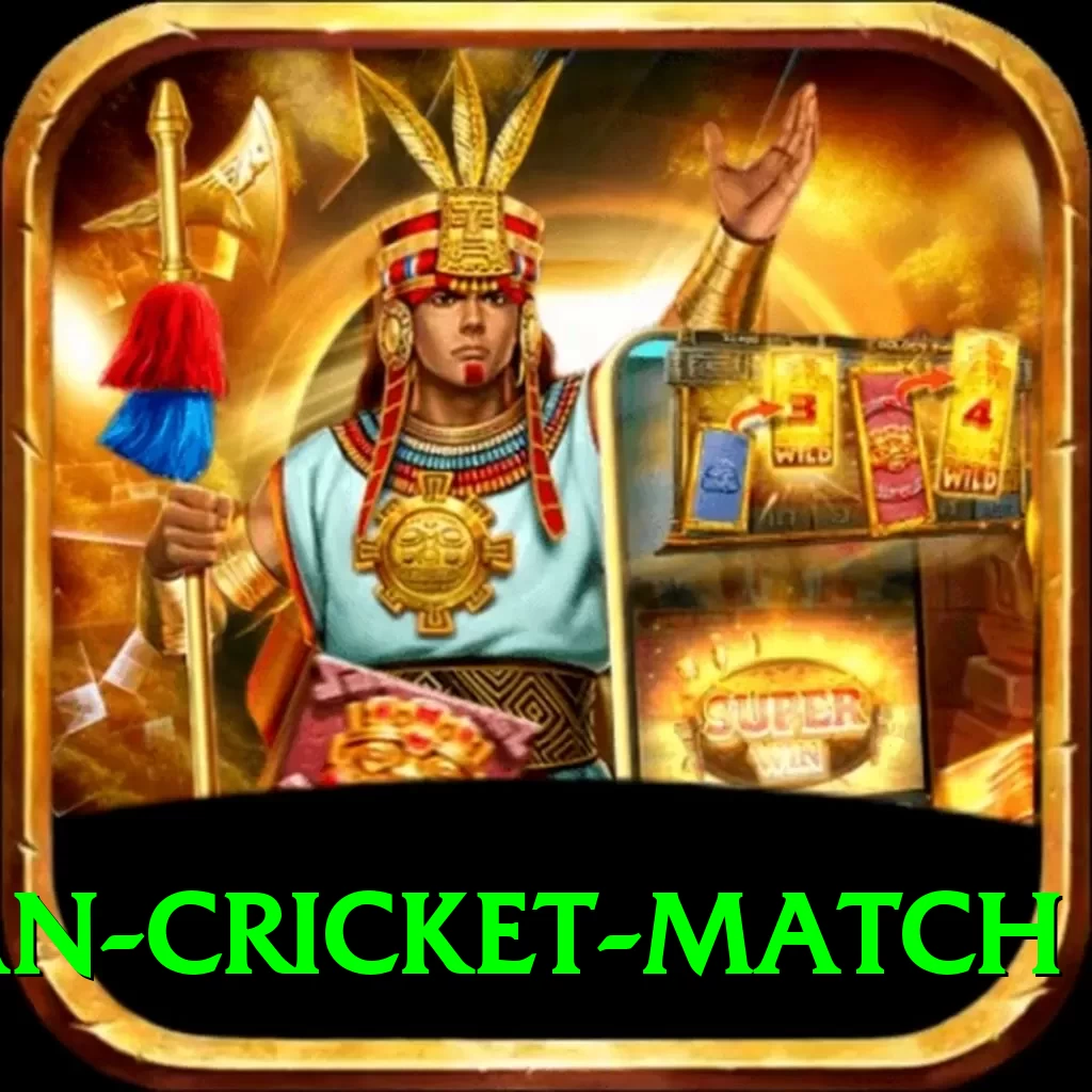 india pakistan cricket match Deluxe Pro v2.8.2 - 2