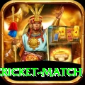 india pakistan cricket match Deluxe Pro v2.8.2