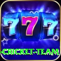 ireland cricket team Deluxe Pro v5.0.4