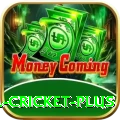 most runs in international cricket - Mega Earning App