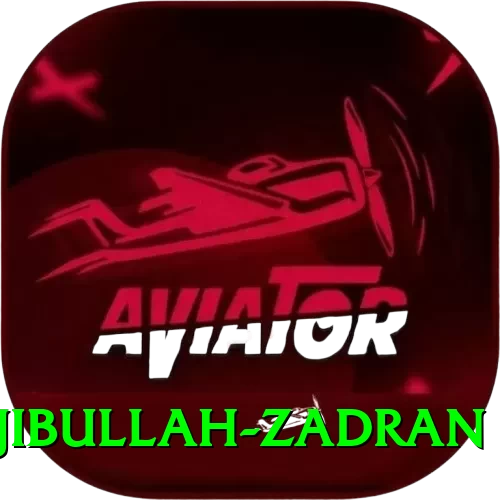najibullah zadran Premium Plus v3.7.4 - 2