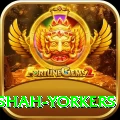 naseem shah yorkers Premium v2.9.5