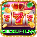 new zealand cricket team Apps (Tools & Injectors) VIP v3.5.4