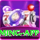 pakbet88 Max Gaming App