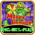 Pakistan Betting Site Money Mega v1.6.1