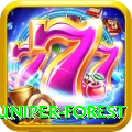 samar juniper forest Games (Casino & Earning) Max v3.3.2
