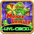 smartcric live cricket Deluxe v1.4.1