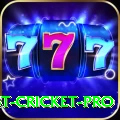test cricket Extreme APK v1.6.7