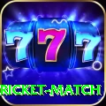 to day cricket match Premium Edition v1.8.1
