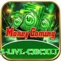 watch live cricket Games (Casino & Earning) Deluxe v4.4.8