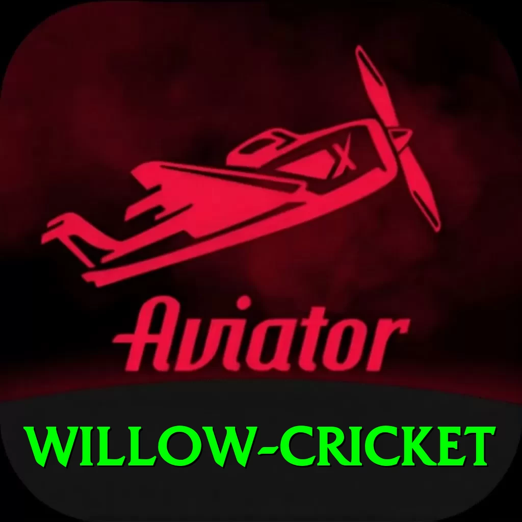 willow cricket Plus - 2