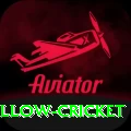willow cricket Plus